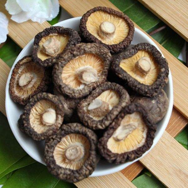 河南恒諾為食用菌香菇與農(nóng)業(yè)生產(chǎn)脫水烘干機(jī)烤箱用戶提供方便